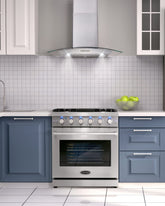 COS-EPGR304 30 in. Haven Collection 4.5 cu. ft. Gas Range with 5 Sealed Burners, Convection Oven, Knob LED Lights, Stainless Steel